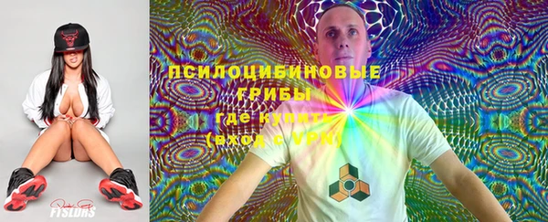 ПСИЛОЦИБИНОВЫЕ ГРИБЫ Нягань