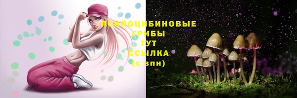 ПСИЛОЦИБИНОВЫЕ ГРИБЫ Нягань