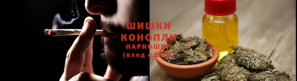 ПСИЛОЦИБИНОВЫЕ ГРИБЫ Нягань