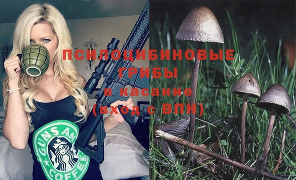 ПСИЛОЦИБИНОВЫЕ ГРИБЫ Нягань