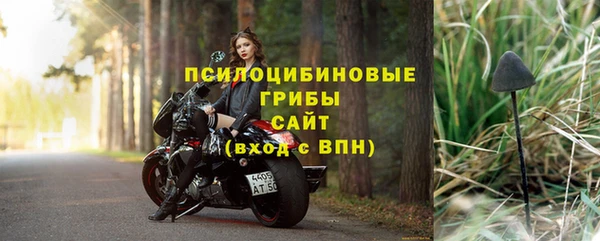 ECSTASY Няндома