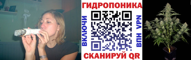 Марихуана OG Kush  Струнино 